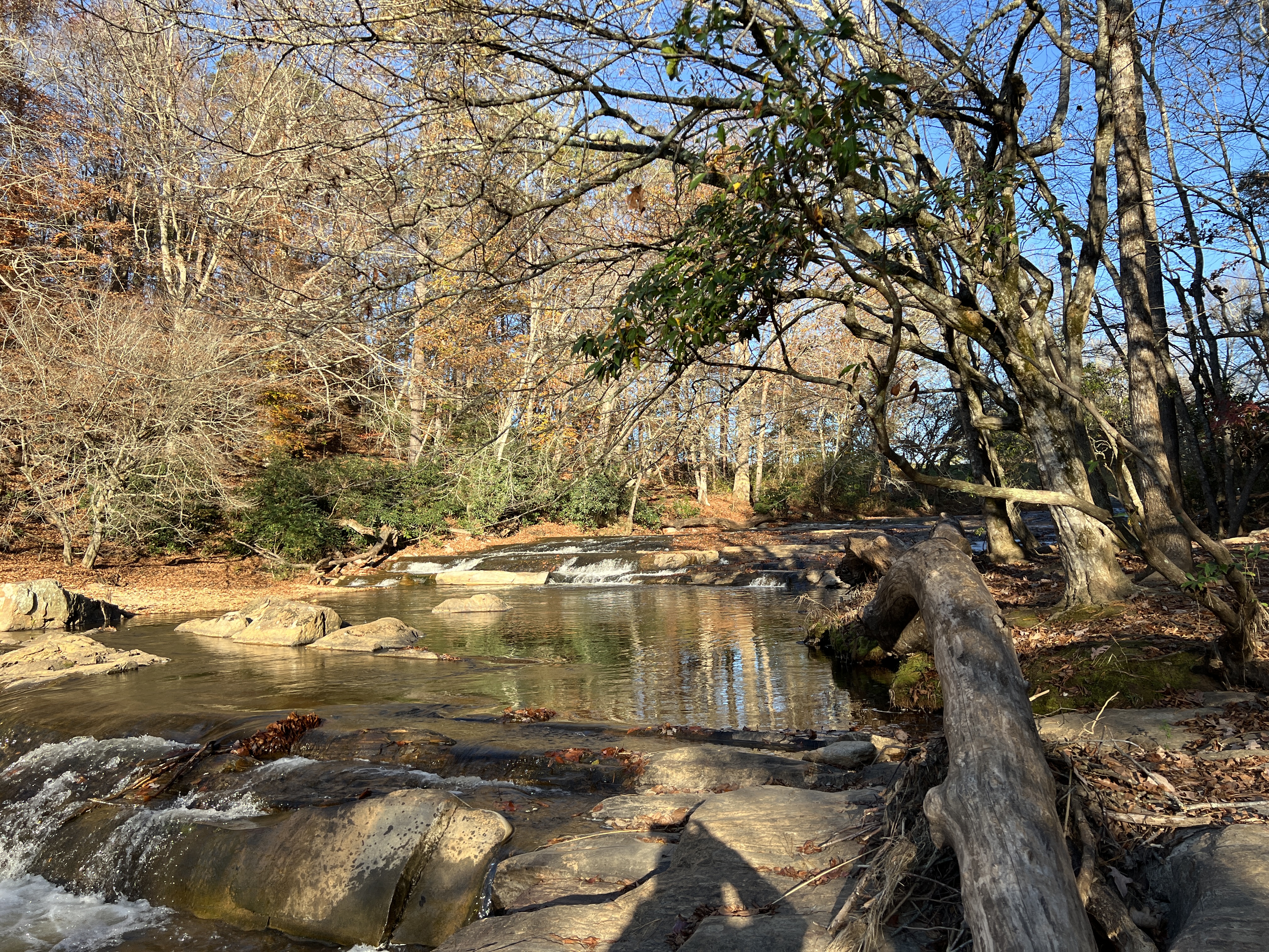 ./2024/11 - Byrd's Branch/IMG_3669.JPG